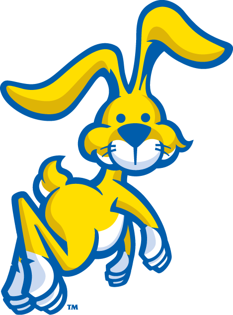 South Dakota State Jackrabbits 2008-Pres Misc Logo v2 diy iron on heat transfer